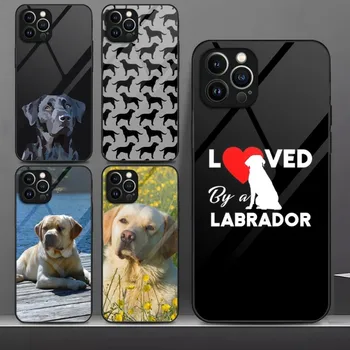 Labrador Caso de Telefone de Vidro Temperado Para IPhone 13Pro 13 12 11 Pro Max Mini X XR XS Max 8 7 6s Mais SE 2020 Tampa
